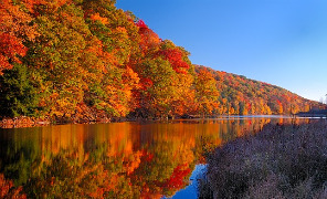 Televideo I Colori Caldi Della Natura