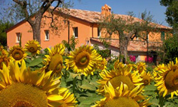 agriturismo_veduta_250x150