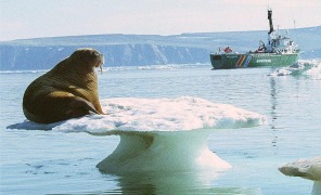 oceano_ghiaccio_296