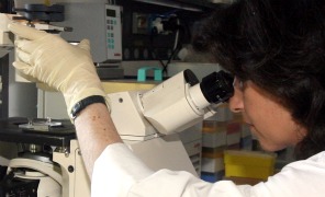 microscopio_296
