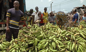 abidjan_mercato_296