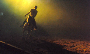 cavallo_show_equus_296