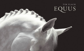 equus_cover_296