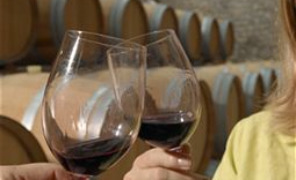 vino_cantina_296