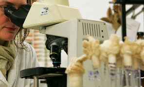 microscopio_296