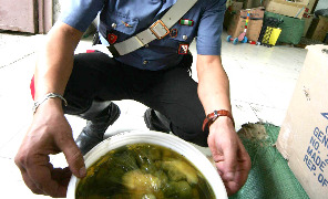 nas_carabiniere_296