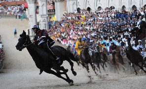 palio_corsa_296
