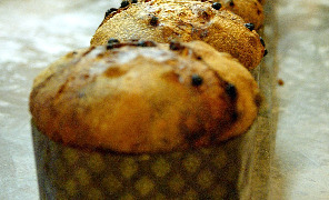 panettone_296