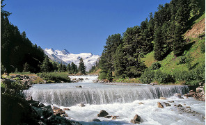 engadina296