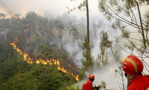 incendi_portogallo_296