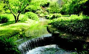 GIARDINO_NINFA