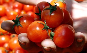 pomodori_296
