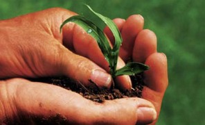 bioeconomia_296