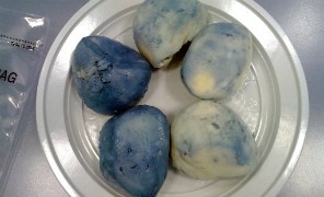 mozzarelle_blu_296