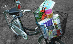 bicicletta_spesa_296