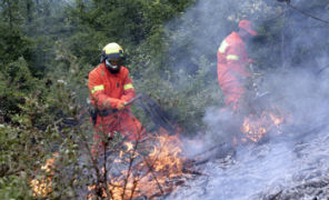 incendi_forestale_296