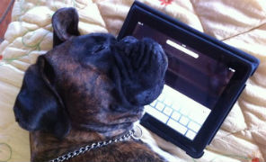 ipad_cane_296