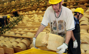 parmigiano_terremoto_296